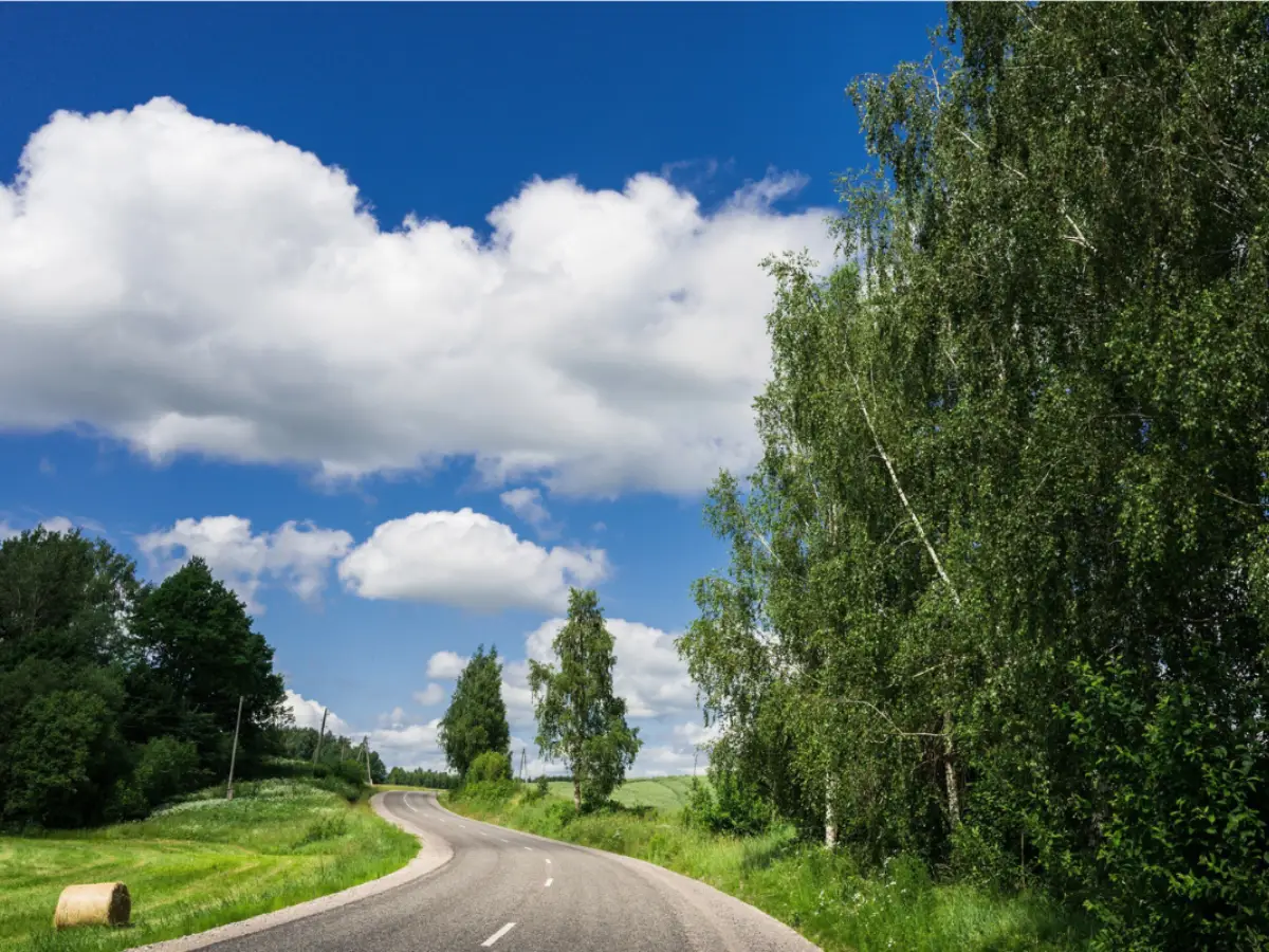 Infografik: Farbkreis warm-kalt