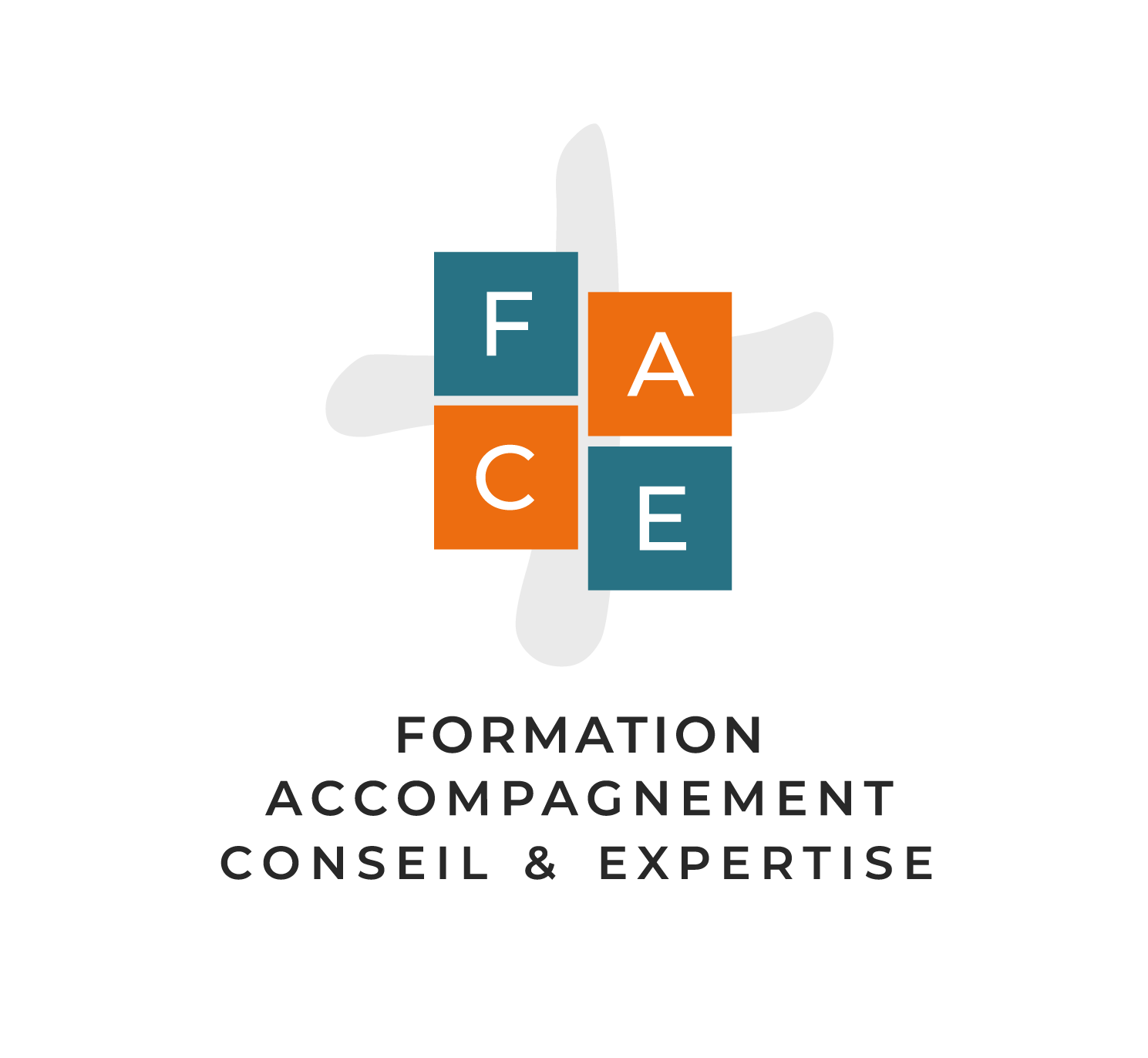 FACE FORMATION ACCOMPAGNEMENT EXPERTISE