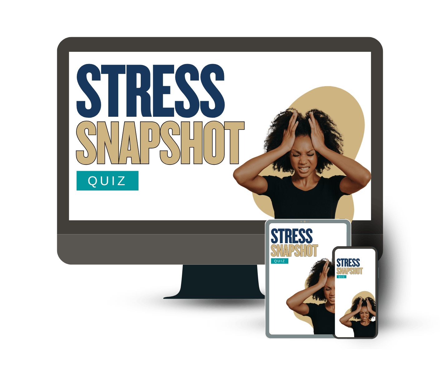 The Stress Snapshot Quiz
