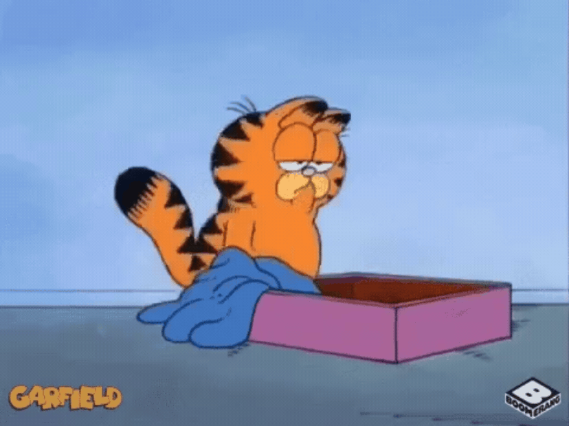 Garfield flop