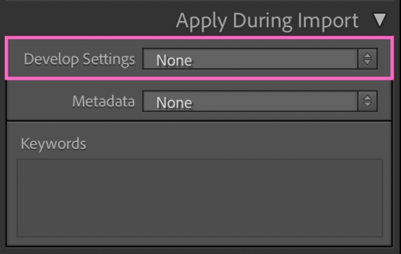 Apply preset on Import in Lightroom Classic