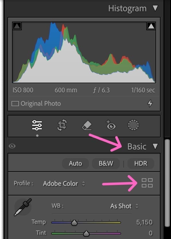 Lightroom Classic Profile Menu Location