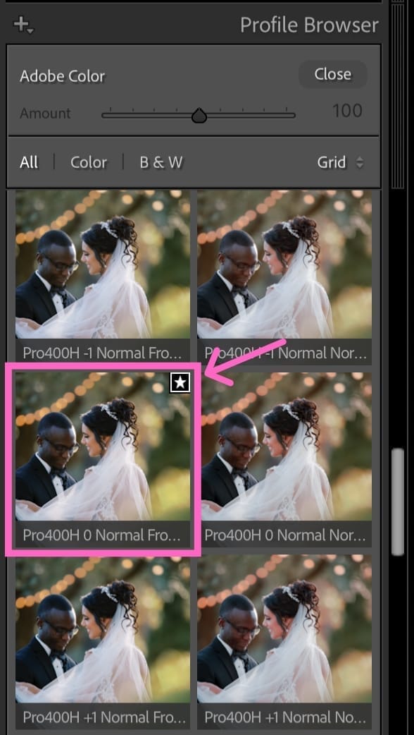 Lightroom profile browser