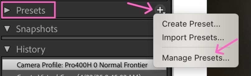Lightroom Manage Presets