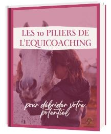 Téléchargez notre Ebook