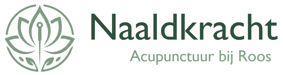Naaldkracht