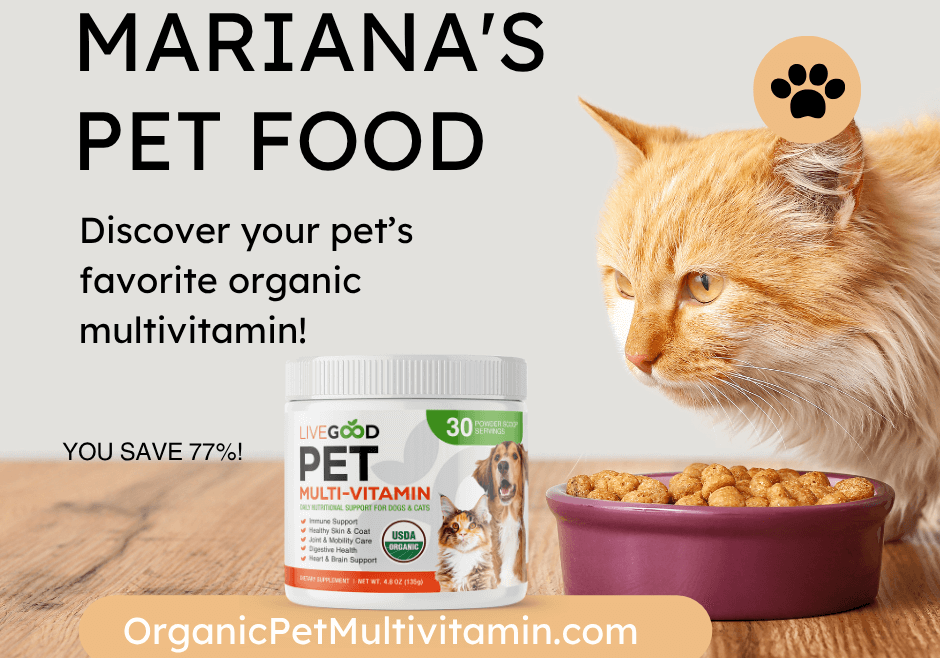 The Complete Guide to Choosing the Right Organic Cat Multivitamin for Your Feline Friend 🐱🌿