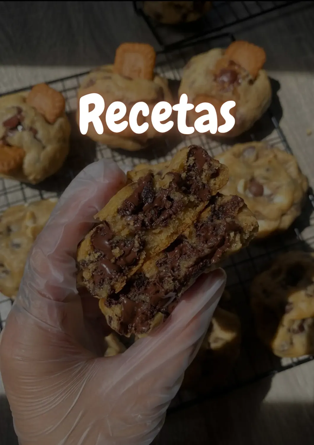 Imagen 6