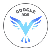 formation google ads et Shopify