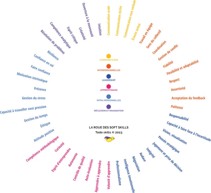 Roue des soft skills en entreprise