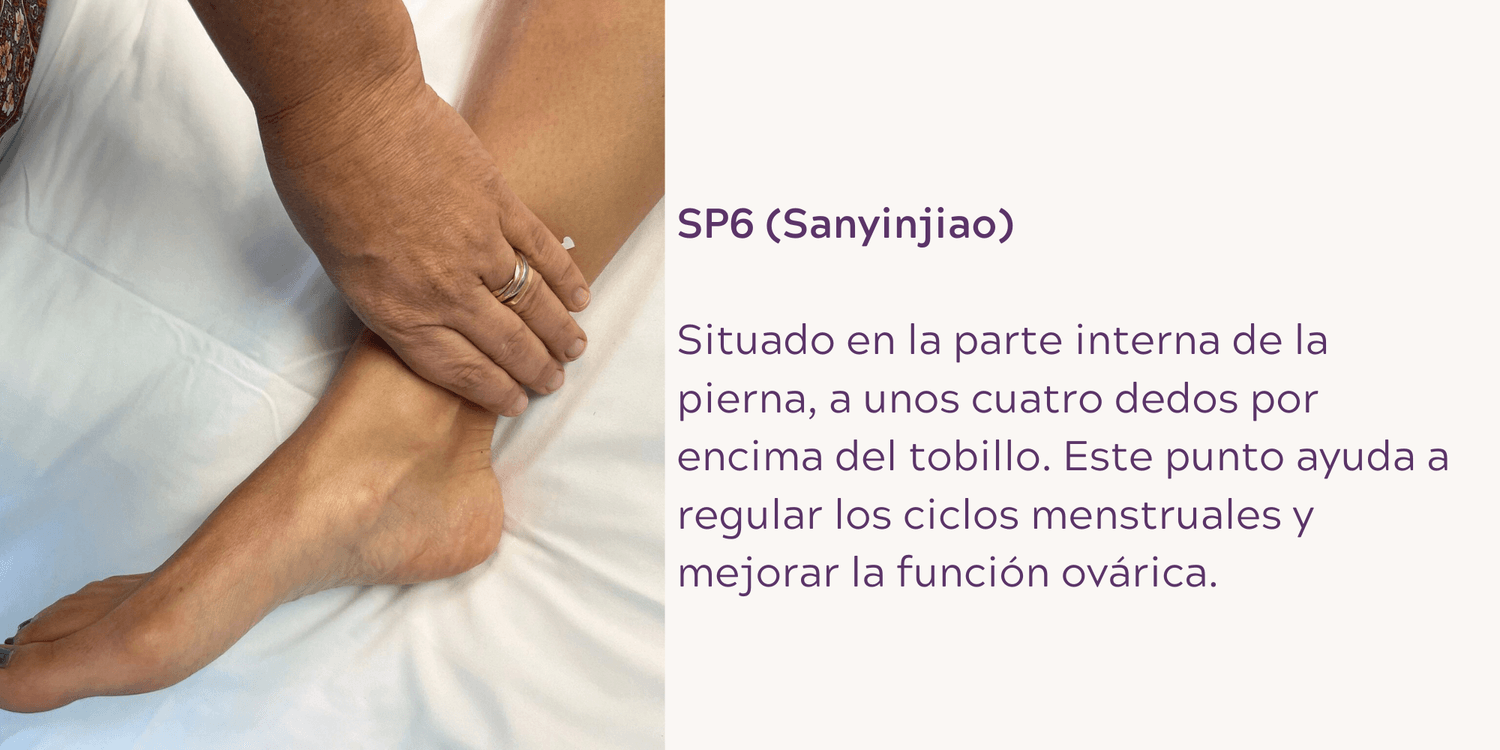 SP6 (Sanyinjiao): Situado en la parte interna de la pierna, a unos cuatro dedos por encima del tobillo. Este punto ayuda a regular los ciclos menstruales y mejorar la función ovárica.