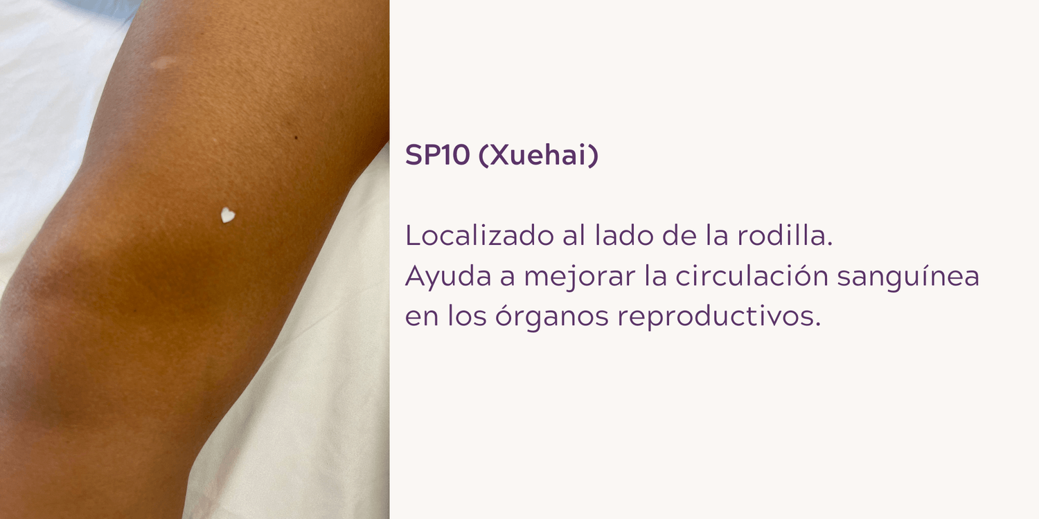 SP10 (Xuehai): Localizado en el lado interno de la rodilla. Ayuda a mejorar la circulación sanguínea en los órganos reproductivos.