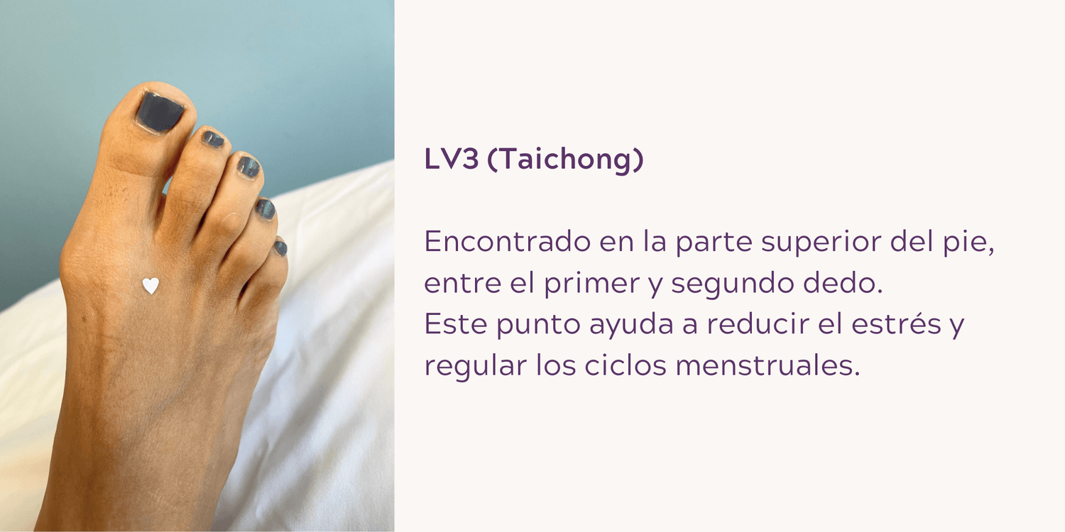 LV3 (Taichong): Encontrado en la parte superior del pie, entre el primer y segundo dedo. Este punto ayuda a reducir el estrés y regular los ciclos menstruales.
