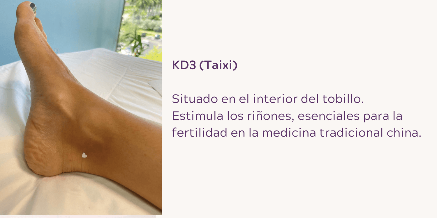 KD3 (Taixi): Situado en el interior del tobillo. Estimula los riñones, esenciales para la fertilidad en la medicina tradicional china.