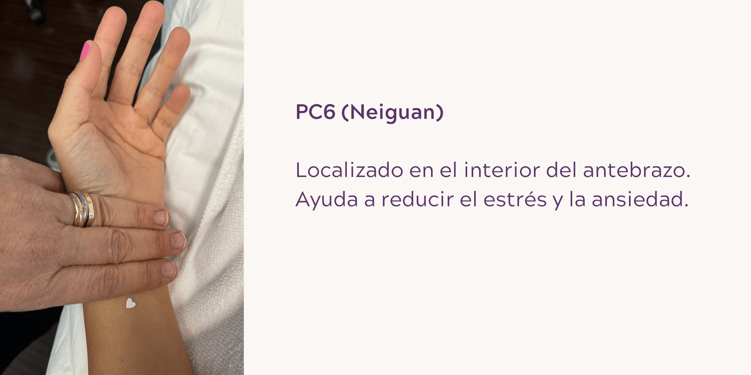 PC6 (Neiguan): Localizado en el interior del antebrazo. Ayuda a reducir el estrés y la ansiedad.