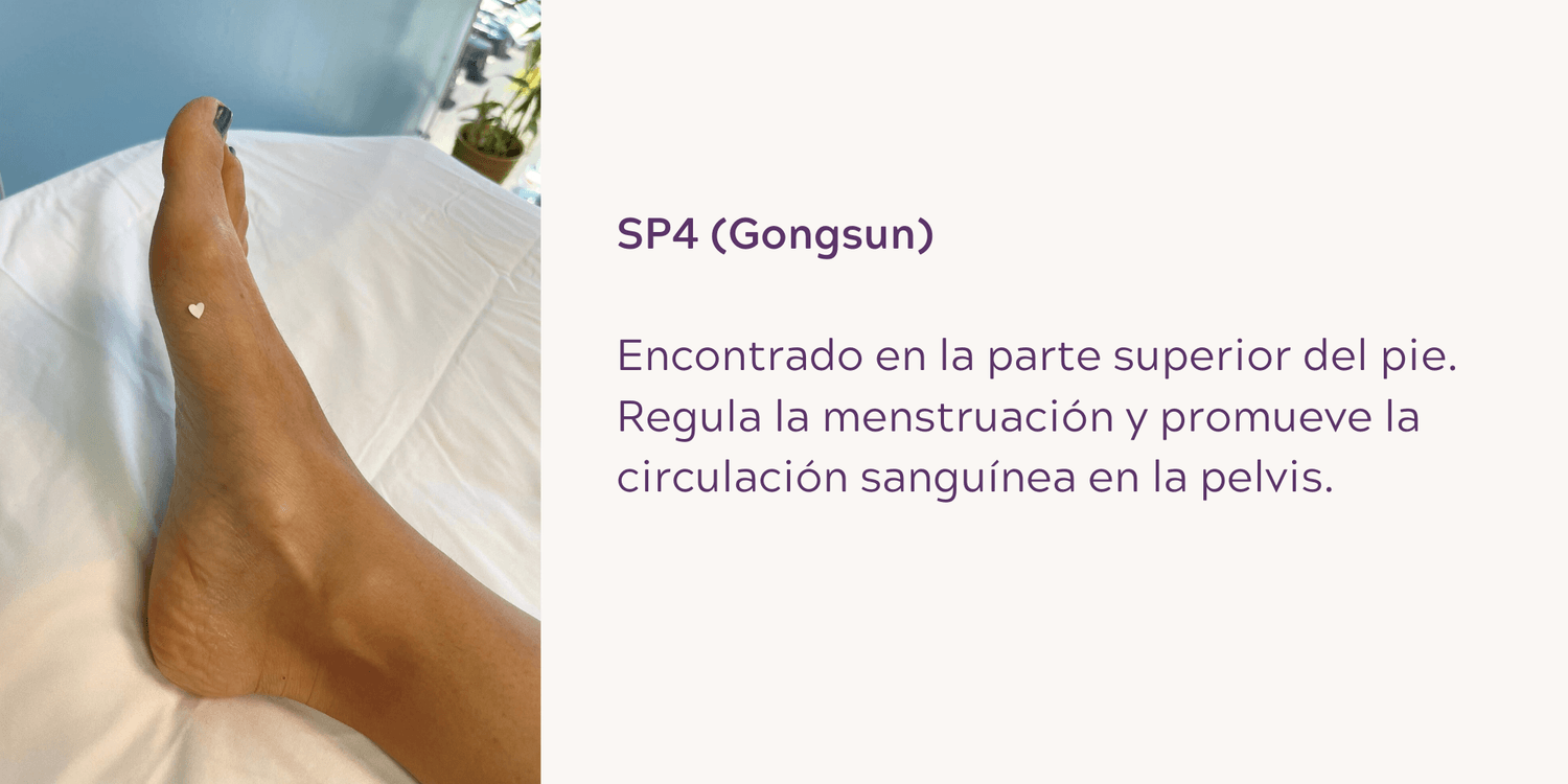 SP4 (Gongsun): Encontrado en la parte superior del pie. Regula la menstruación y promueve la circulación sanguínea en la pelvis.