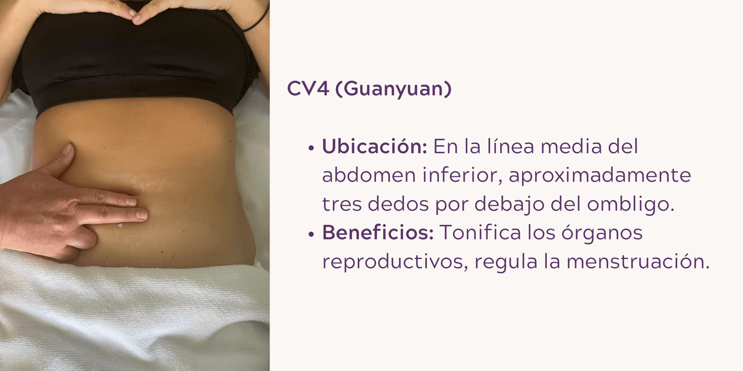CV4 (Guanyuan): En la línea media del abdomen, unos tres dedos por debajo del ombligo.