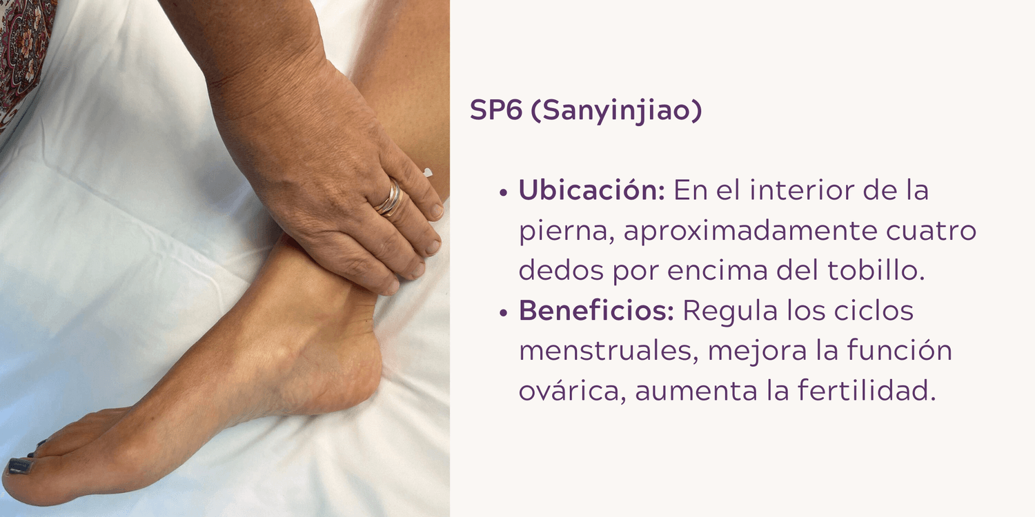 SP6 (Sanyinjiao): Situado en la parte interna de la pierna, a unos cuatro dedos por encima del tobillo. Este punto ayuda a regular los ciclos menstruales y mejorar la función ovárica.