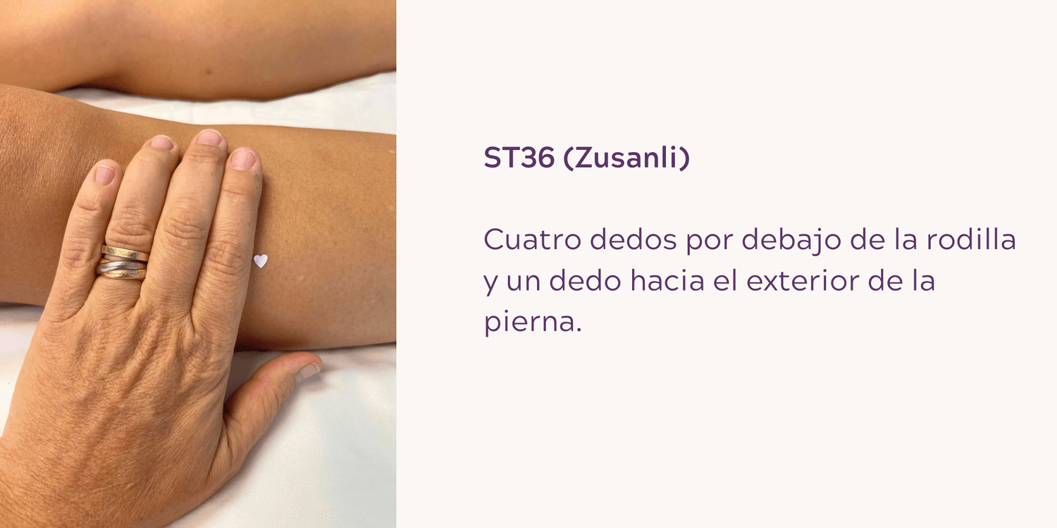 ST36 (Zusanli): Cuatro dedos por debajo de la rodilla y un dedo hacia el exterior de la pierna.