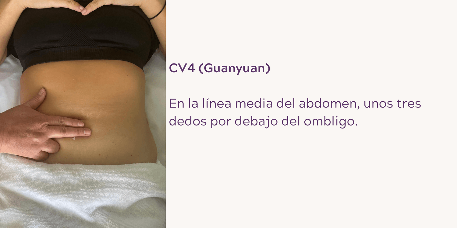 CV4 (Guanyuan): Tonifica los órganos reproductivos.