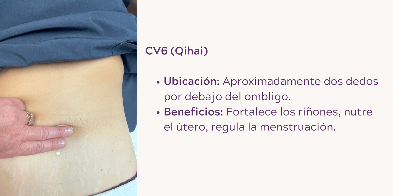 CV6 (Qihai): Fortalece los riñones y nutre el útero.