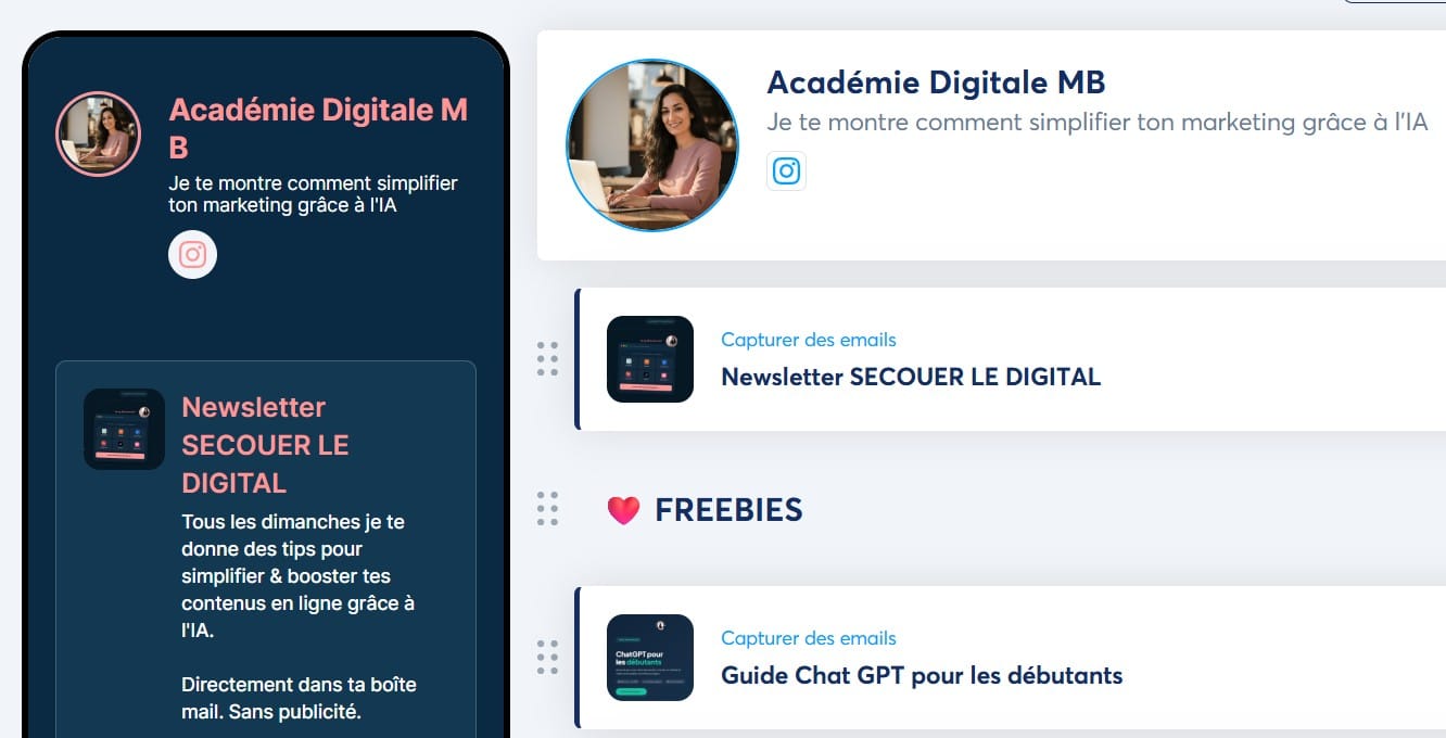 Aperçu de la Boutique Digitale
