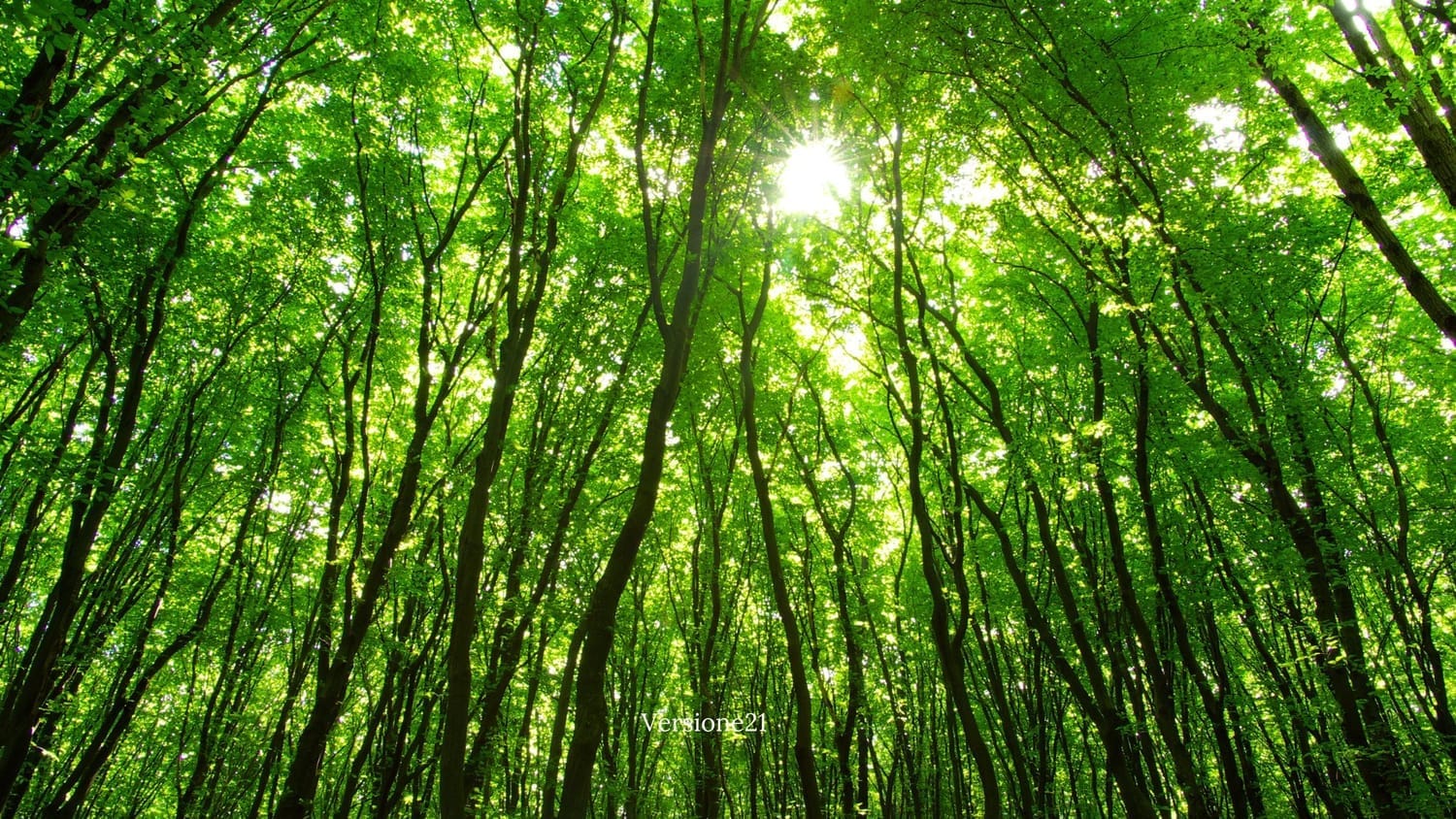 Gaslighting familial