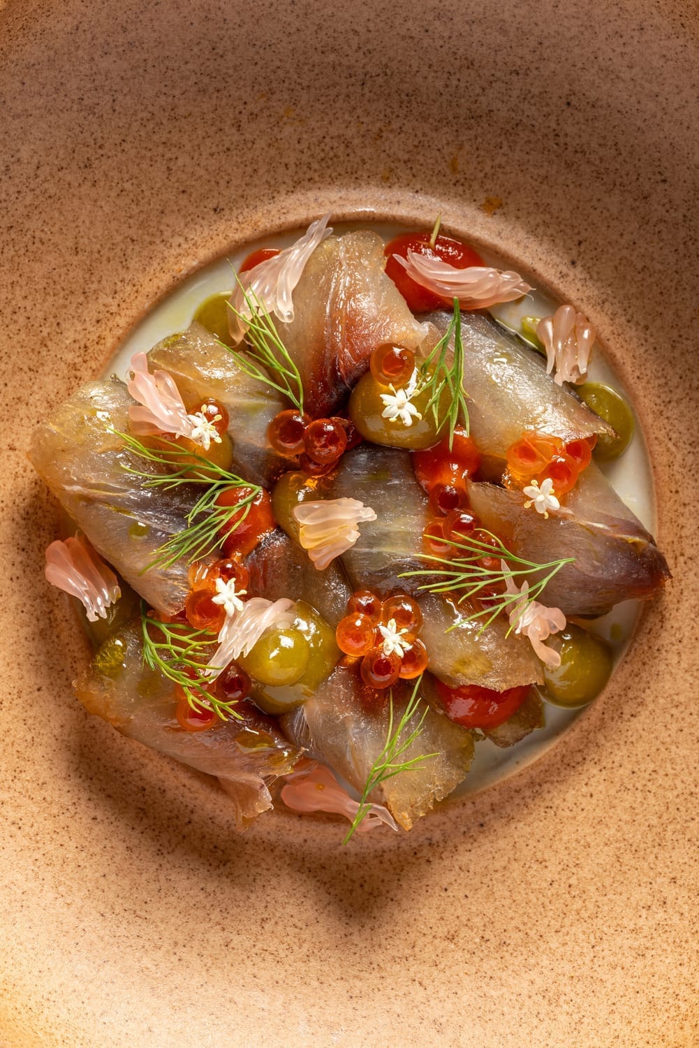Colorful plated dish seen from above, shot by Diego Arenas