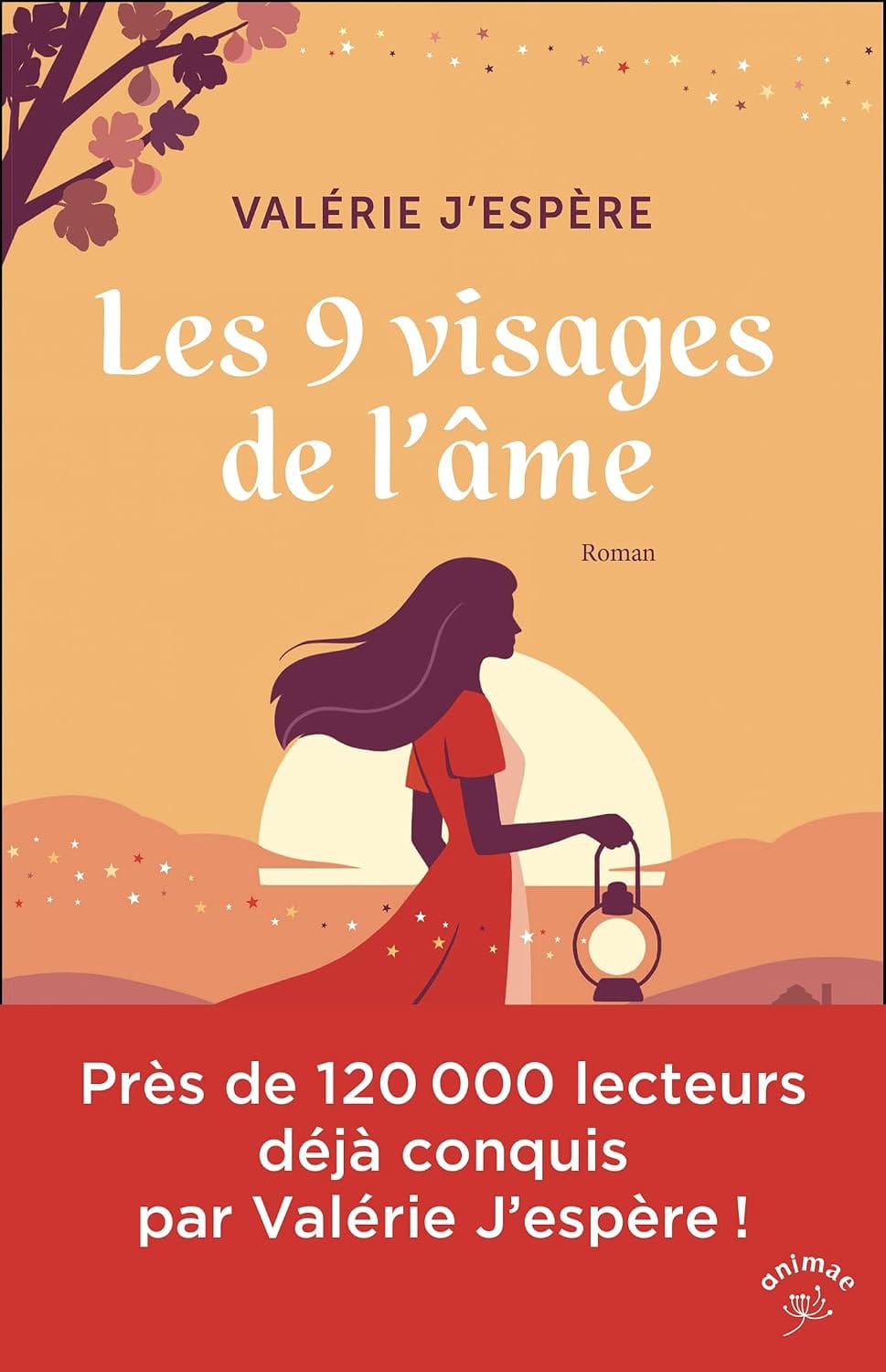 Couverture du livre Les 9 Visages de l’Âme