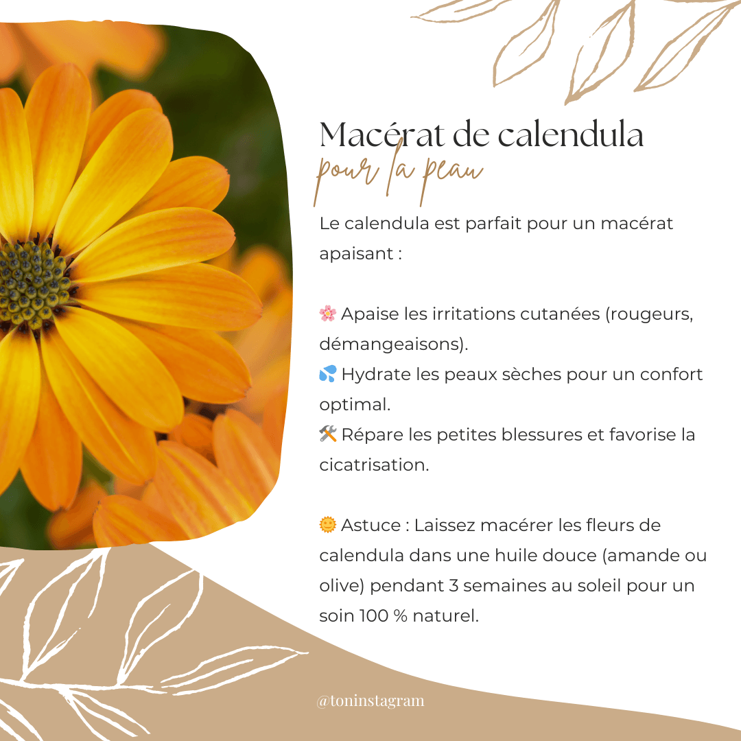 Publication naturopathie
