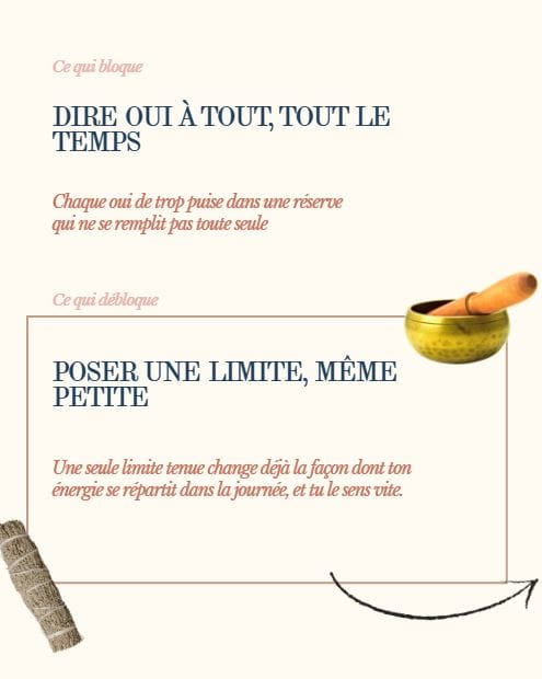 Exemple Lotus Février