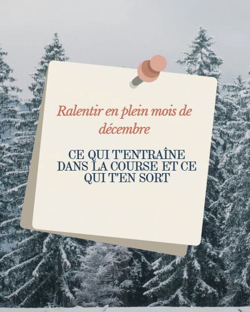 Exemple Lotus Décembre