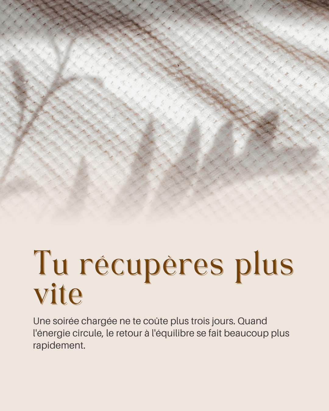 Carrousel slide 2