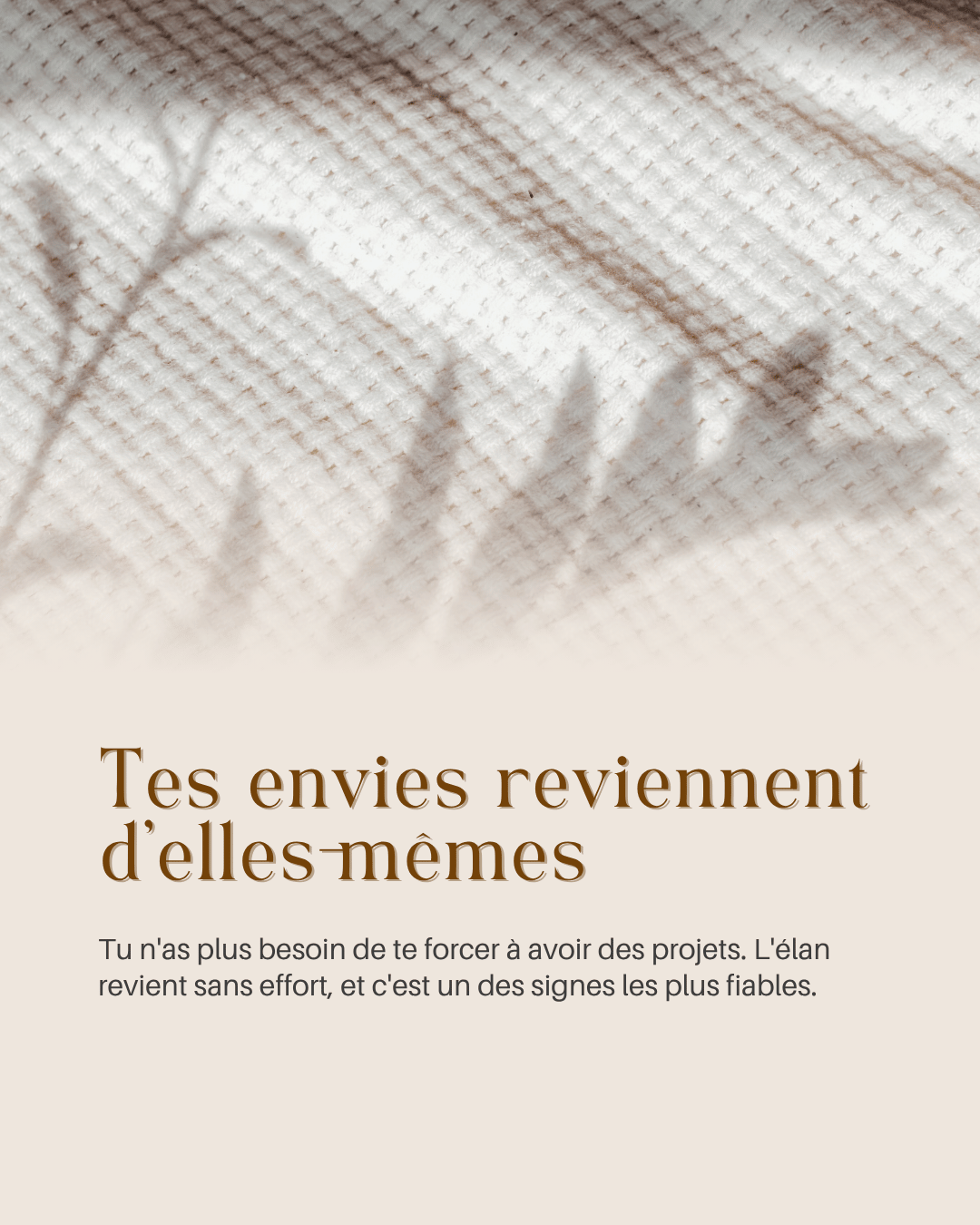 Carrousel slide 3