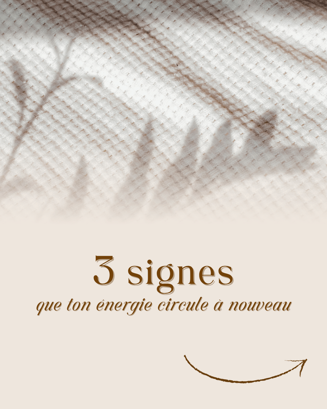 Carrousel slide 1