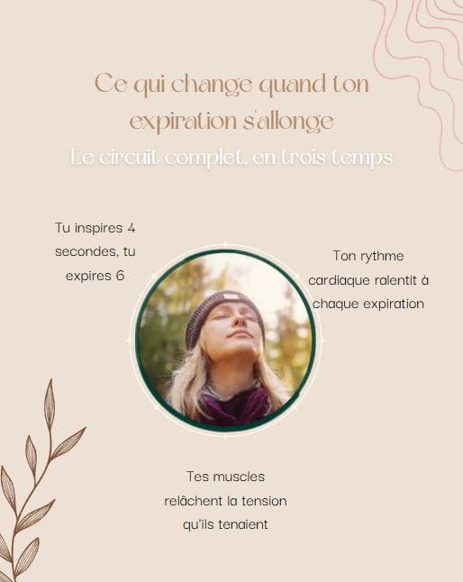 Publication prête à publier