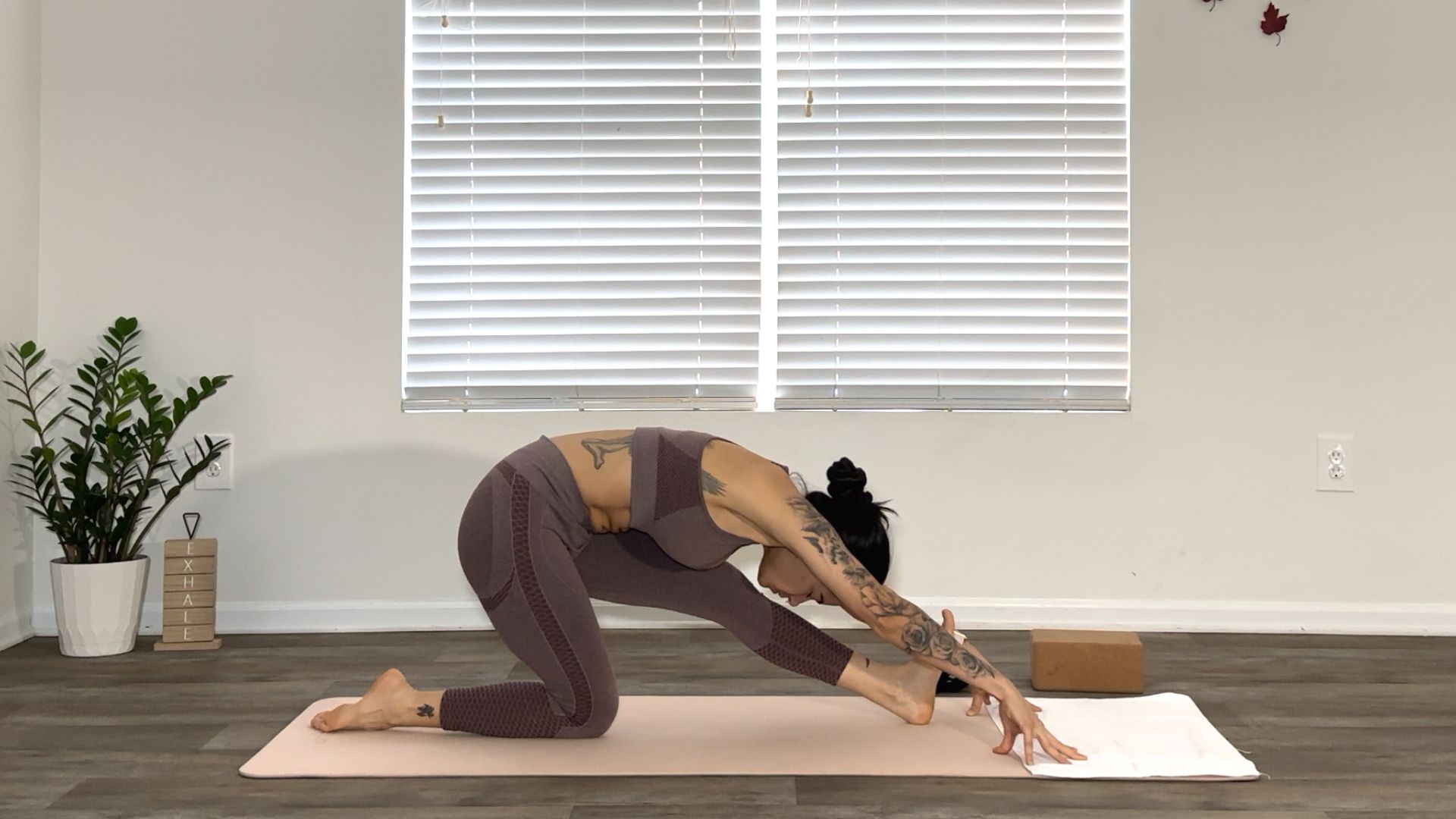 inicia tu camino en yoga con yogafit y nutrición desde la comodidad de tu hogar o desde cualquier parte donde te encuentres