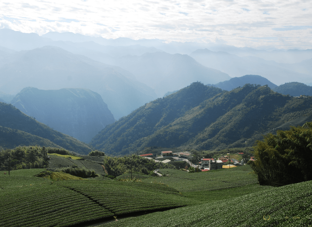 Montañas Ali Shan Taiwan