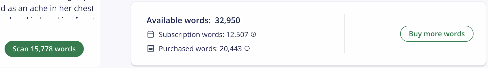 Plagiarism Scan Button and Words Available