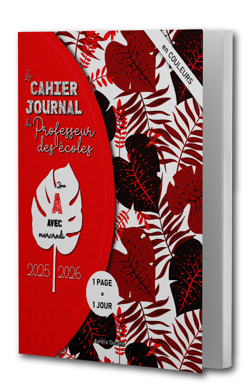 Cahier Journal zone A avec Mercredi en Couleurs