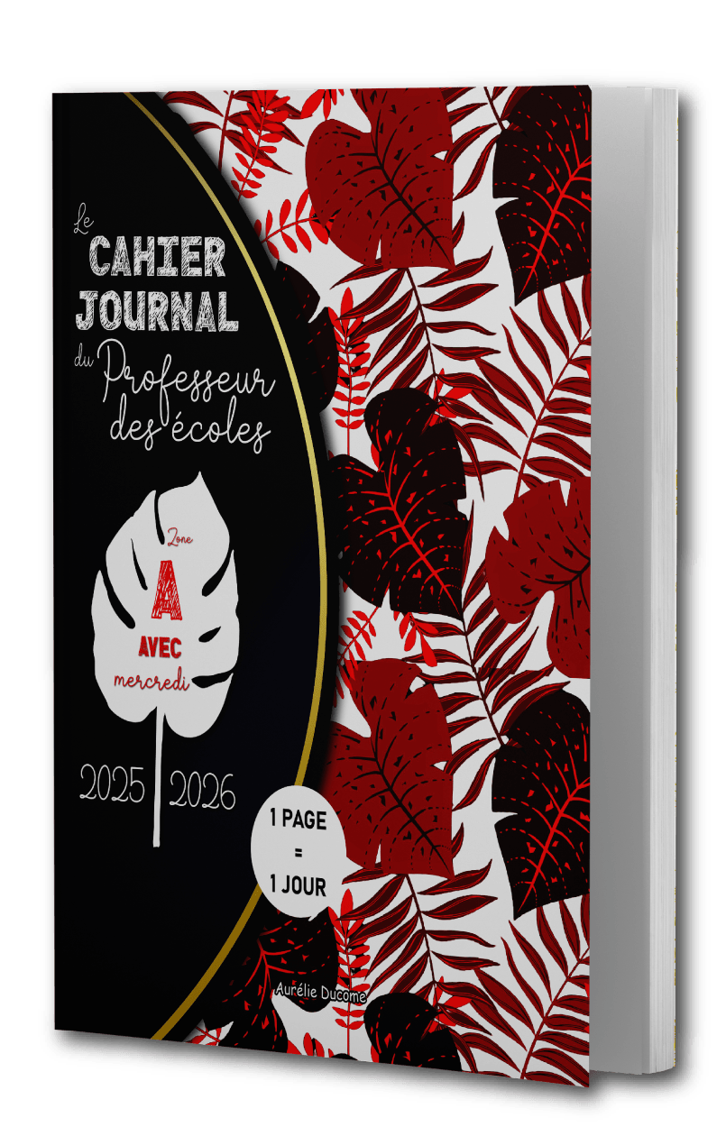 Cahier Journal zone A avec Mercredi en Couleurs