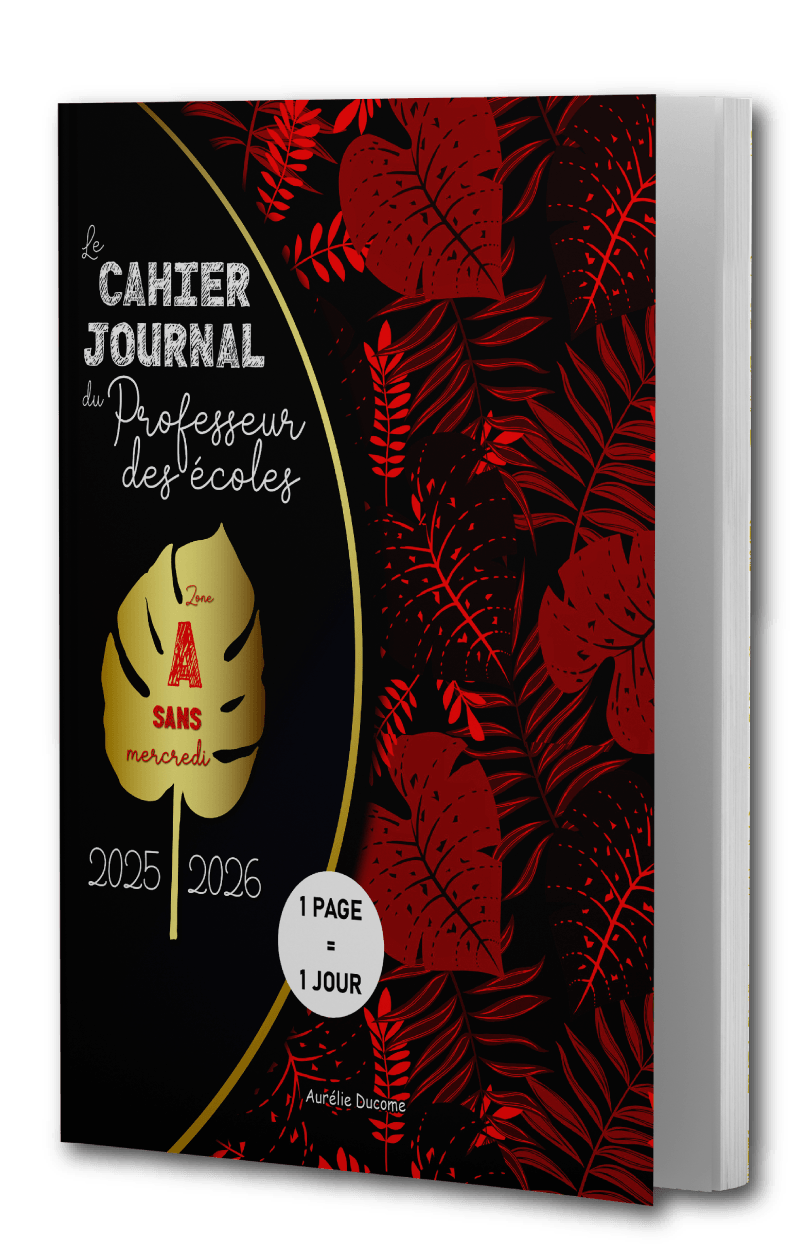 Cahier Journal zone A avec Mercredi en Couleurs