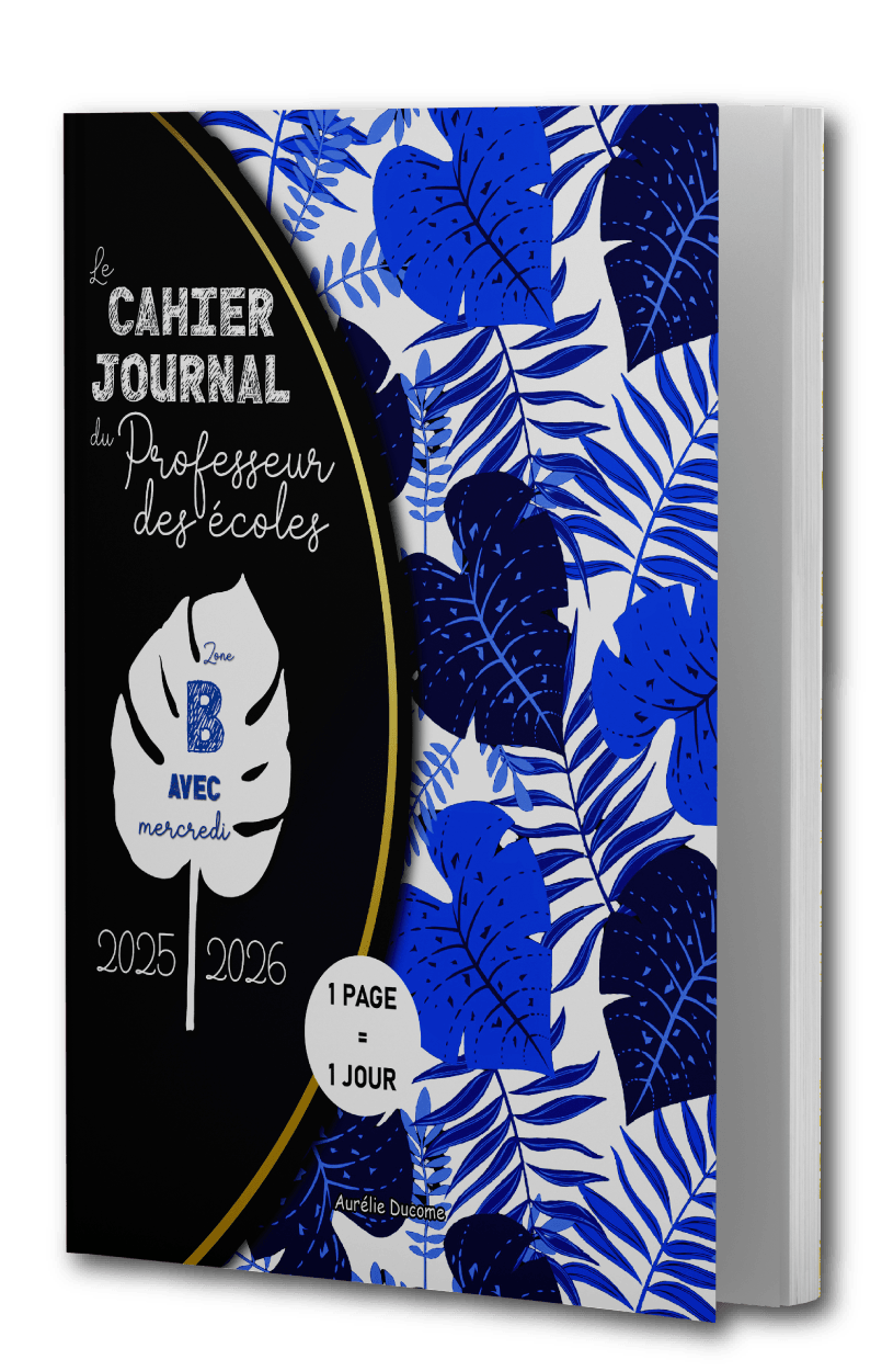 Cahier Journal zone A avec Mercredi en Couleurs