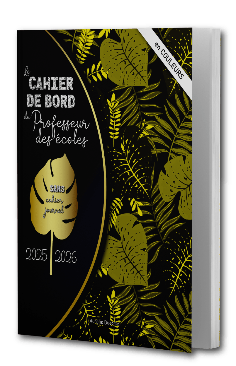 Cahier Journal zone A avec Mercredi en Couleurs
