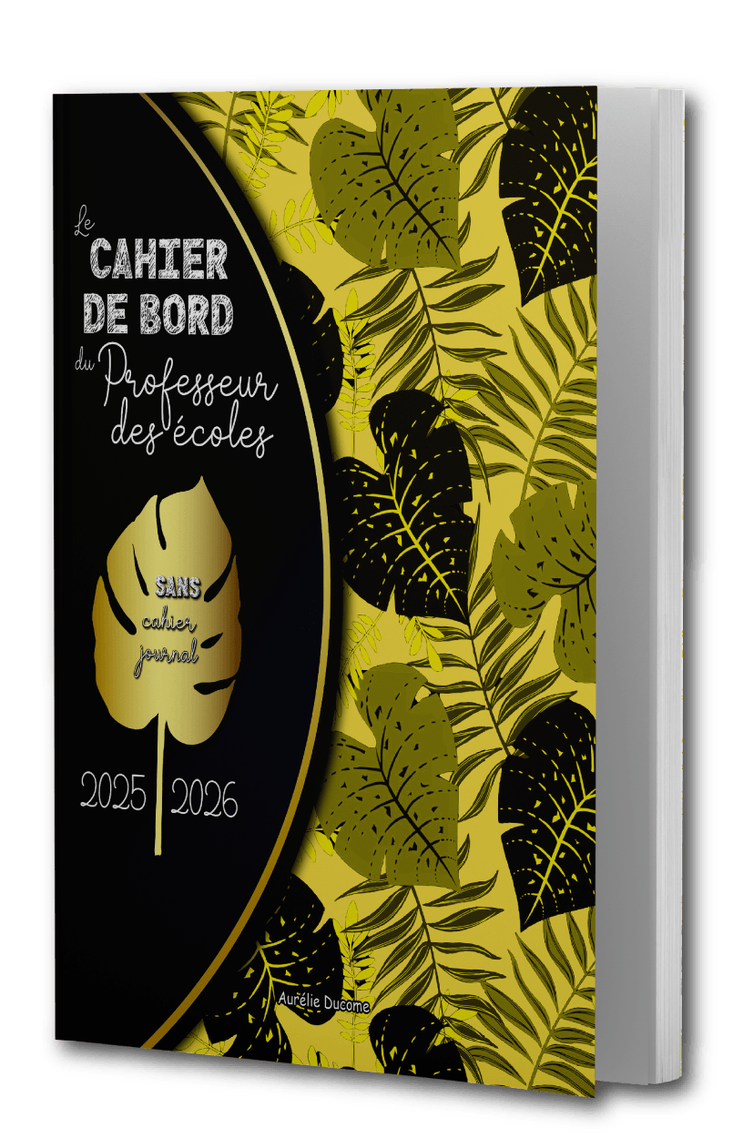Cahier Journal zone A avec Mercredi en Couleurs