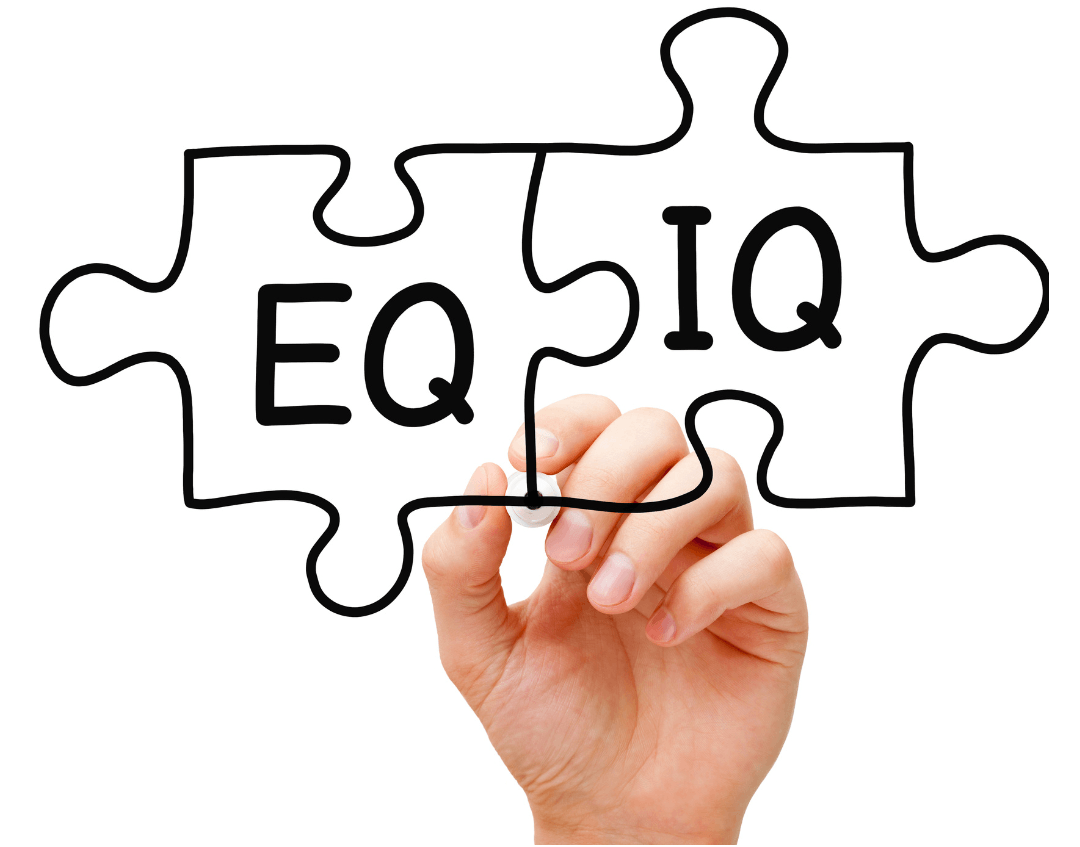 EQ and IQ jigsaw