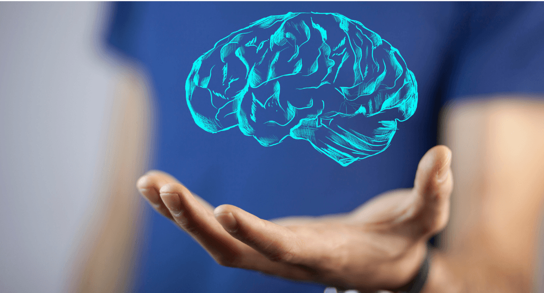 brain in hand