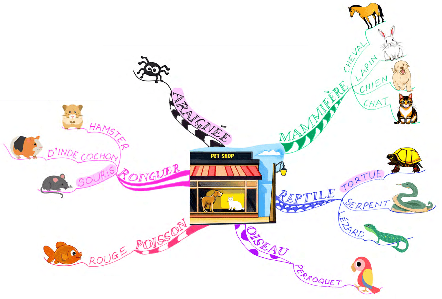 Vocabulary Mind Map - pets