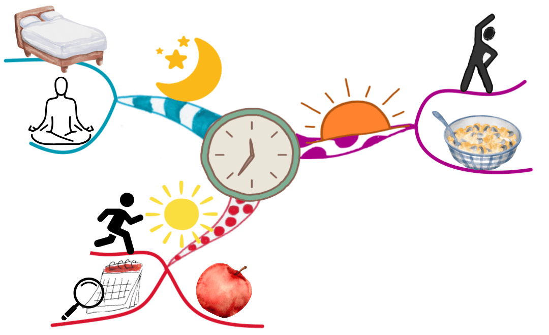 daily routine Mind Map incorporating health and fitness