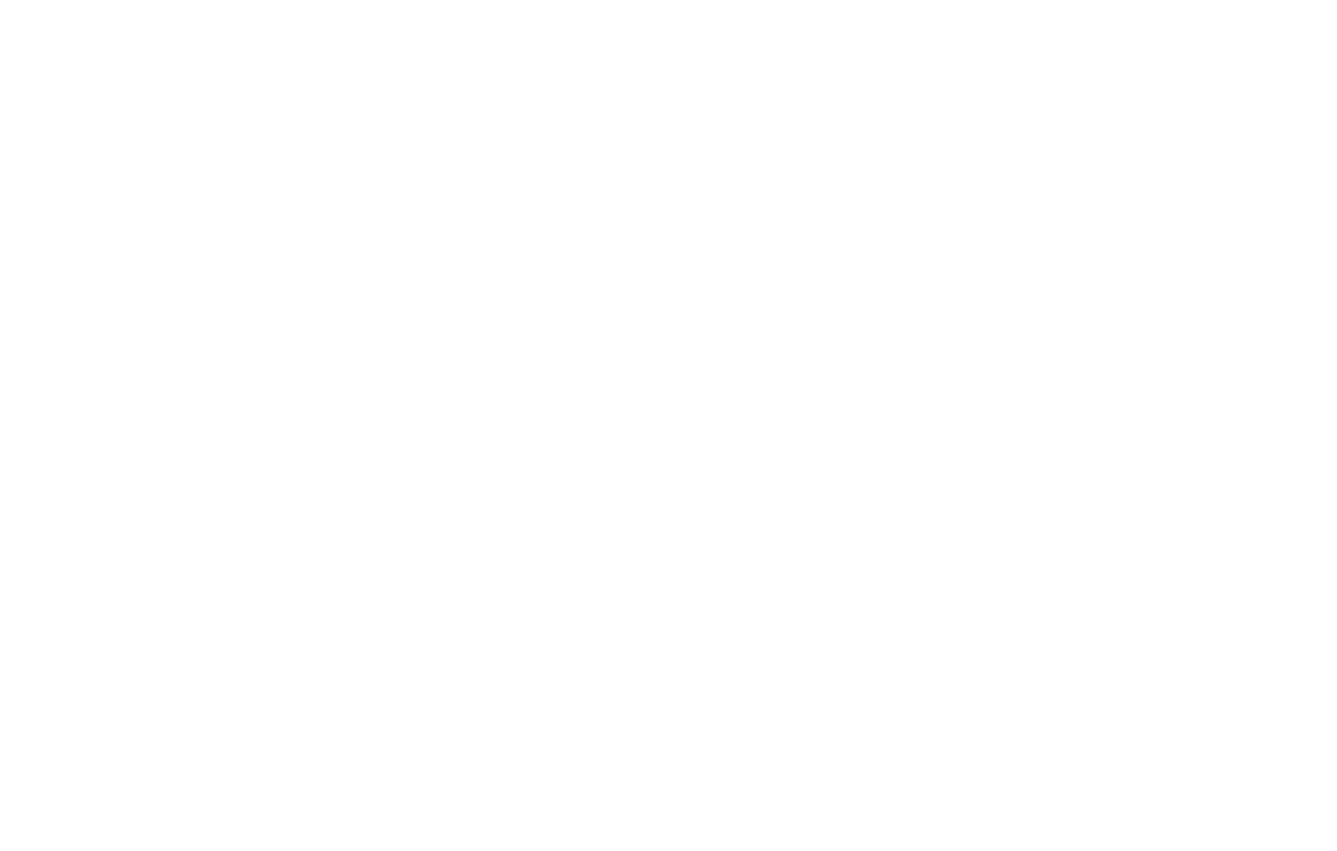 Logo de NegociaTu – Servicios para cconsituor empresas en EE.UU. sin ser residentes